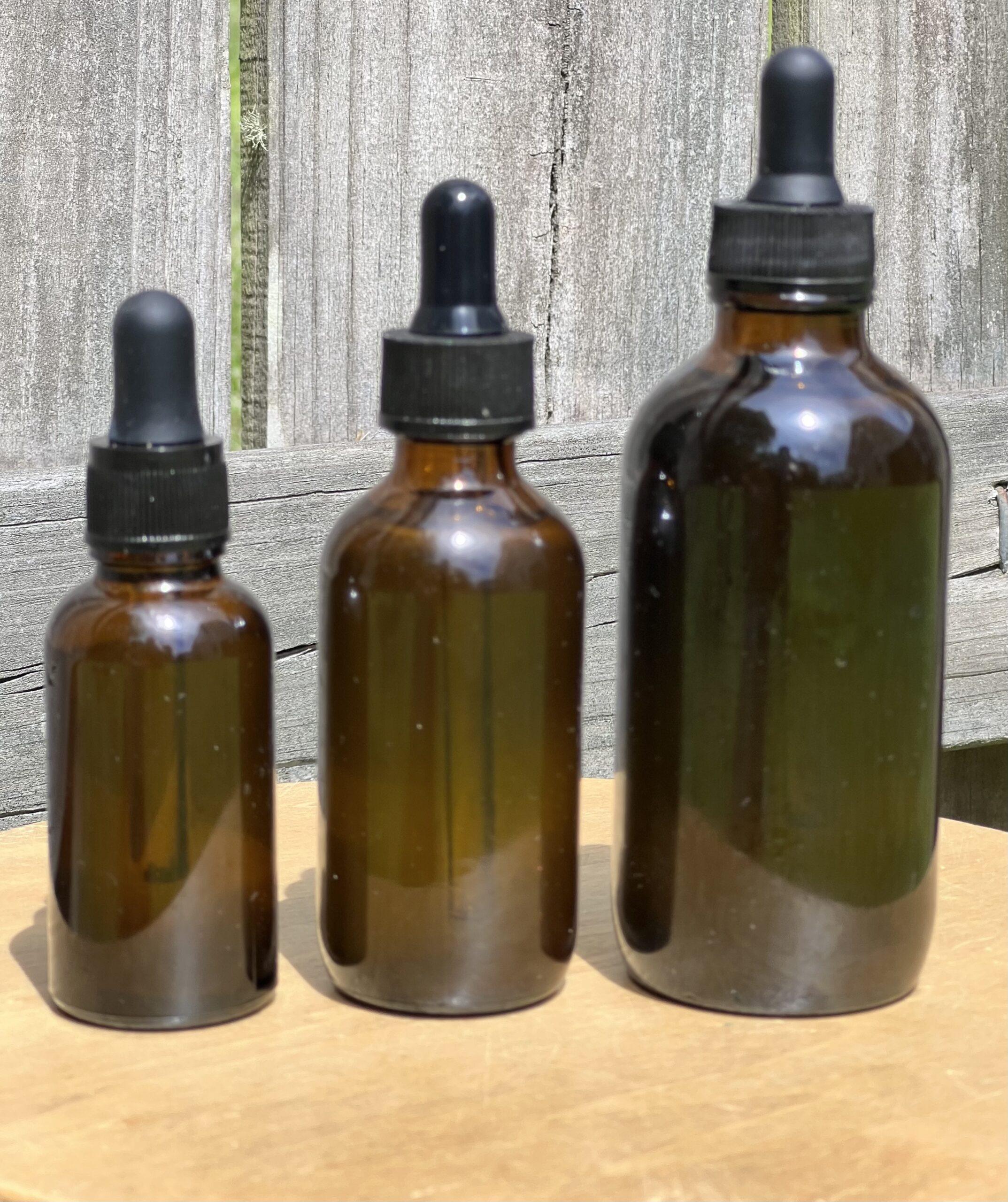 Organic Wild Oregano Oil Extract - Image 2